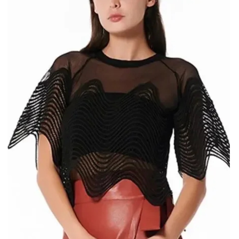 AKIRA Mesh Wavy Crop Top 🖤 - Picture 11 of 11